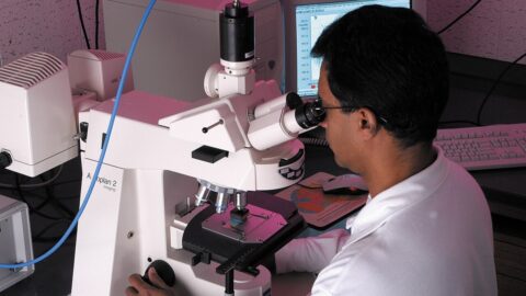 $1.8bn bet on ‘virtual cells’: biology gets its AI data foundation