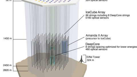 Schematic diagram of the IceCube Neutrino Observatory detector array