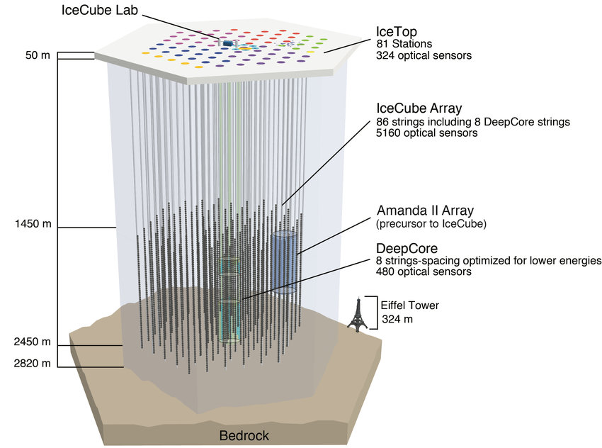 Schematic diagram of the IceCube Neutrino Observatory detector array