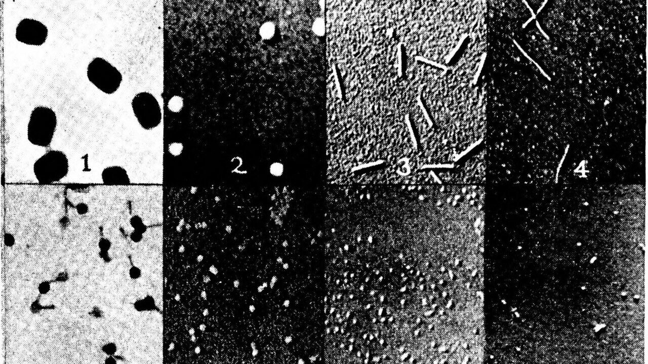 Painting the flu season: a diffusion model learns epidemic futures
