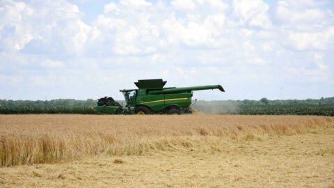 Combine harvester harvesting wheat in an Indiana field for World Food Day 2026