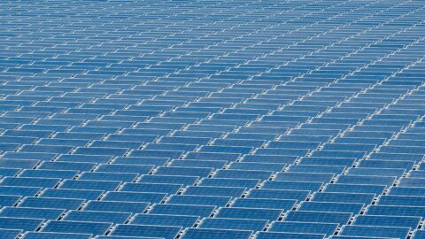 Rows of solar panels at a factory