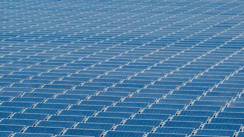 Rows of solar panels at a factory