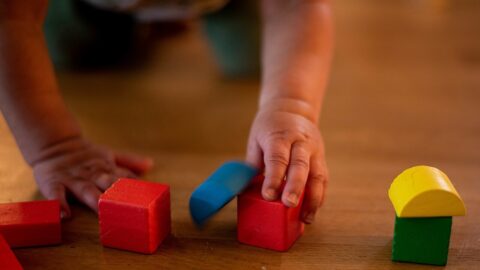 Where toddlers look: eye-tracking meets early development scores